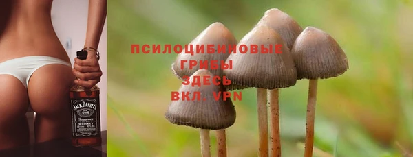 бошки Железноводск