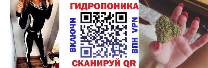 Купить где  Карачаевск  Конопля сатива 